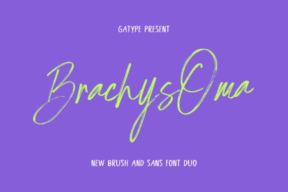 Brachys Oma Font: A Web Designer's Review